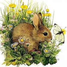 Схема вышивки «Зая»