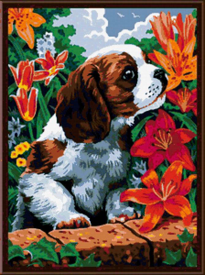 щенок в цветах - предпросмотр