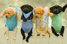 Схема вышивки «постирали»