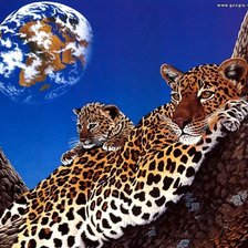 Схема вышивки «леопарды»