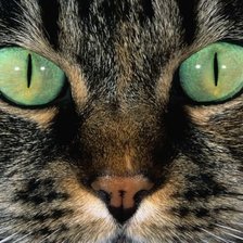 Схема вышивки «Глаза»