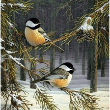 Схема вышивки «Синички»