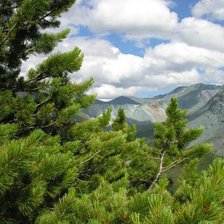 Схема вышивки «Пейзаж, лес, горы»