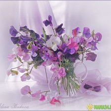 серия душистый горошек