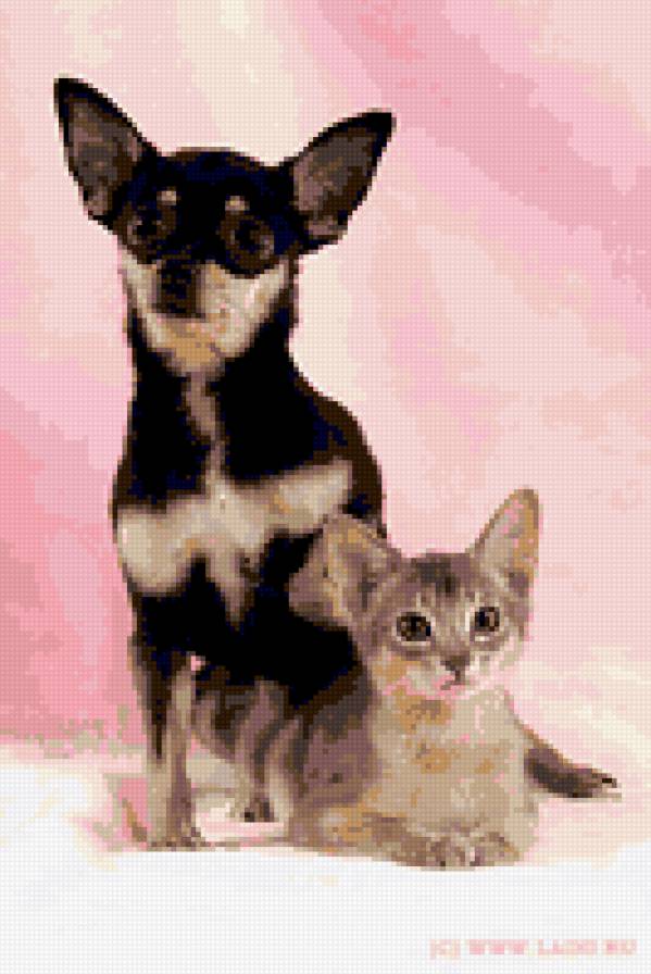 Друзья - природа, животные, кошки, собаки - предпросмотр