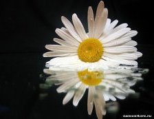 Схема вышивки «цветок»