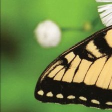 Схема вышивки «1»