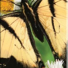 Схема вышивки «№310491»