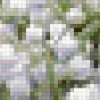 Предпросмотр схемы вышивки «ландыши» (№310504)