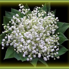 Схема вышивки «ландыши»