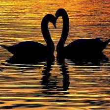 Схема вышивки «Лебеди на закате»