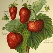 Схема вышивки «№310529»