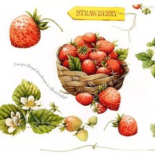 Схема вышивки «№310551»