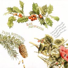 Схема вышивки «№310553»