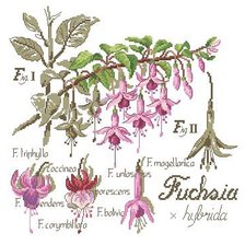 Схема вышивки «№310585»