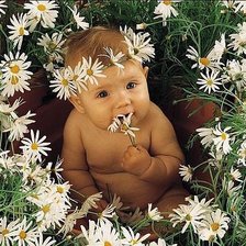 Схема вышивки «маленькое счастье»