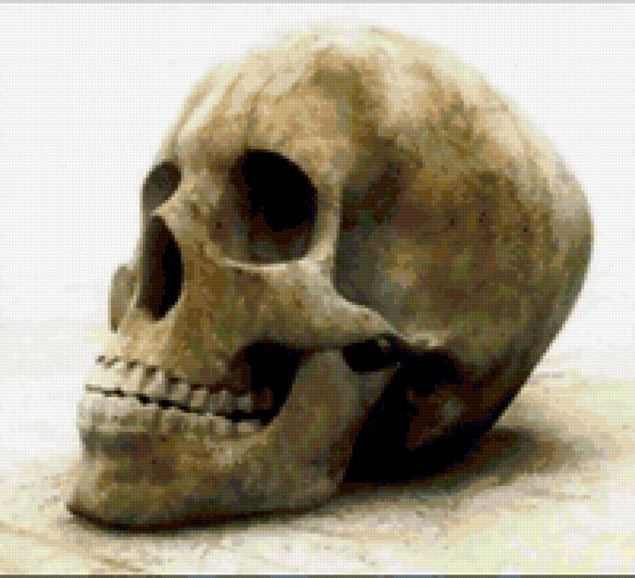 череп - череп - предпросмотр