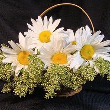 Схема вышивки «№310659»