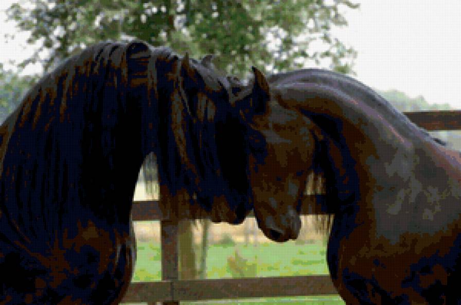 лошади - лошади, природа - предпросмотр