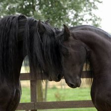 Схема вышивки «лошади»