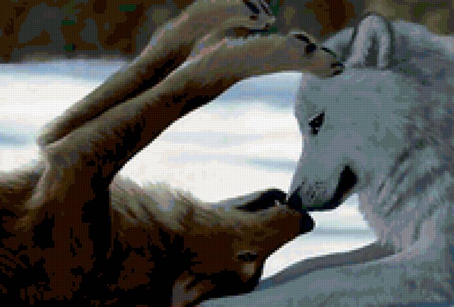 поцелуй - радость, пара, животные, волки - предпросмотр