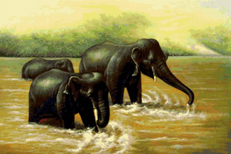 слоны - животные - предпросмотр