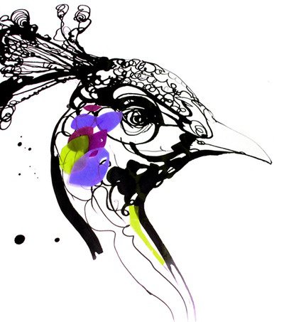 peacock 2 - оригинал