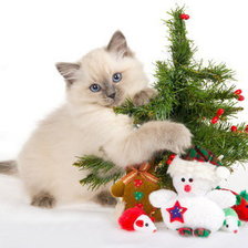 Схема вышивки «Новогодний котёнок)»