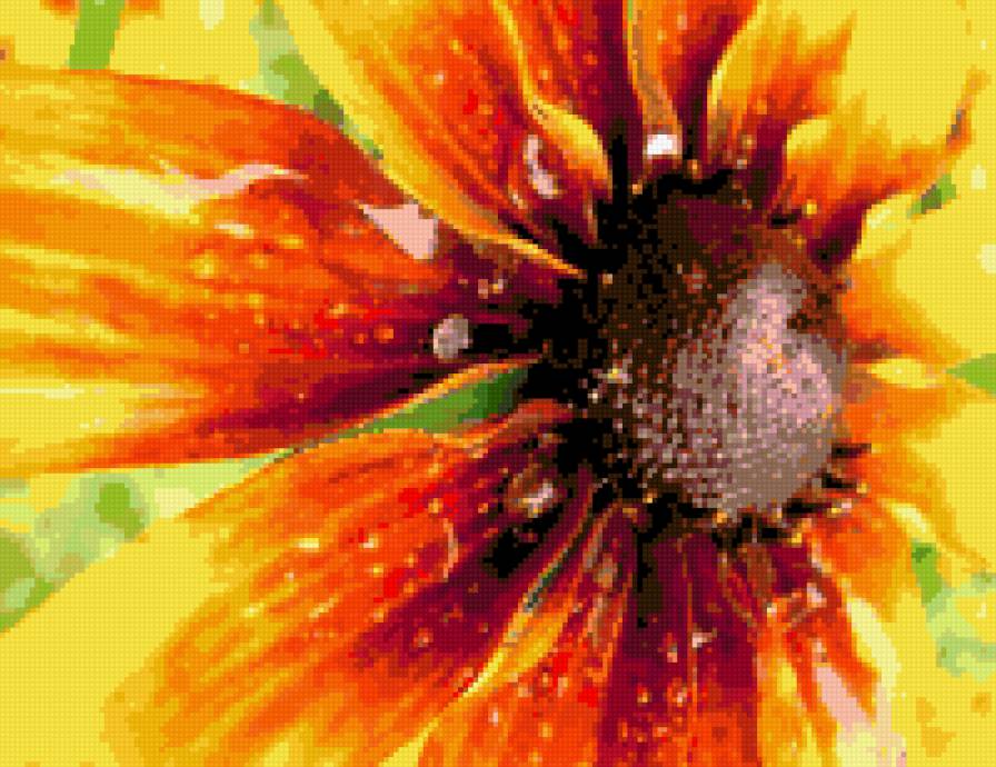 подсолнух - цветок - предпросмотр