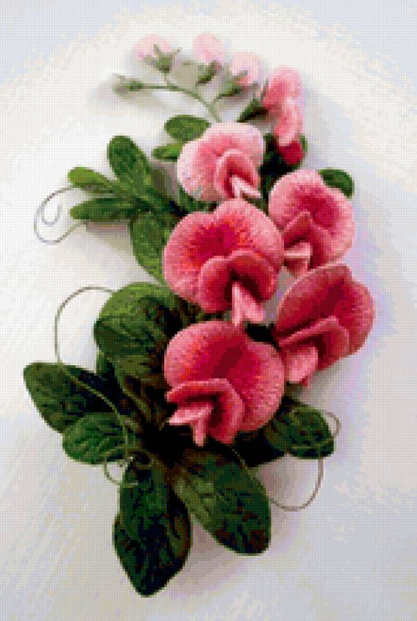 Душистый горошек - картина, цветы, открытка - предпросмотр