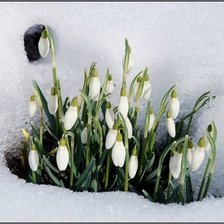 Схема вышивки «№311157»