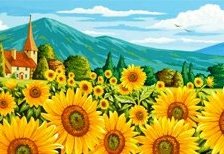 Поле подсолнухов