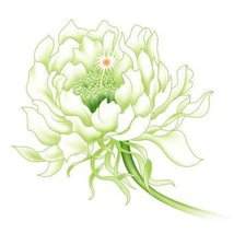 Схема вышивки «Цветы»