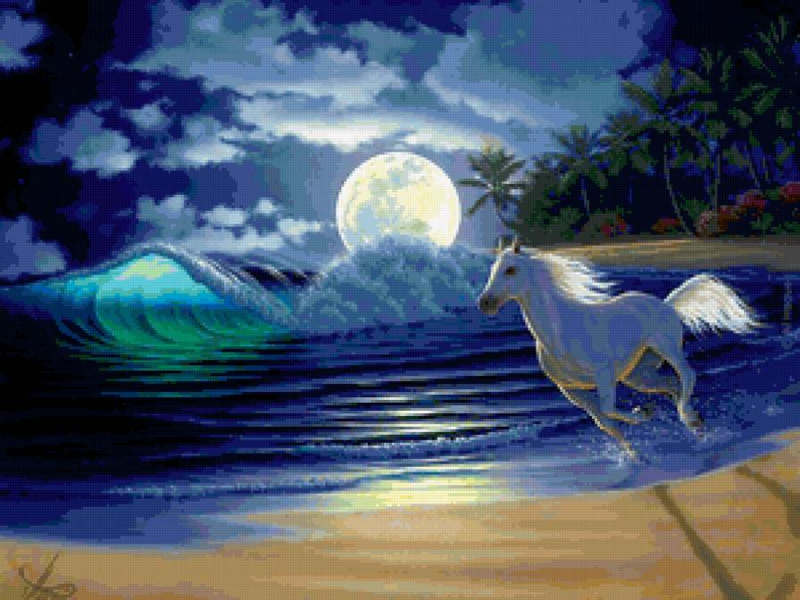 белый конь на морском берегу - море, берег, лошадь, конь - предпросмотр