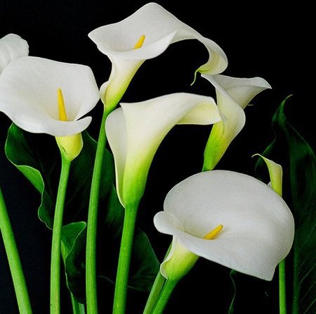 №311326 - оригинал