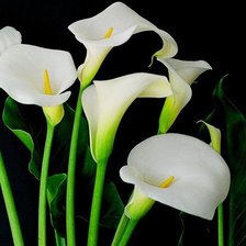 Схема вышивки «№311326»