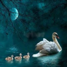 Схема вышивки «лебединая семья»