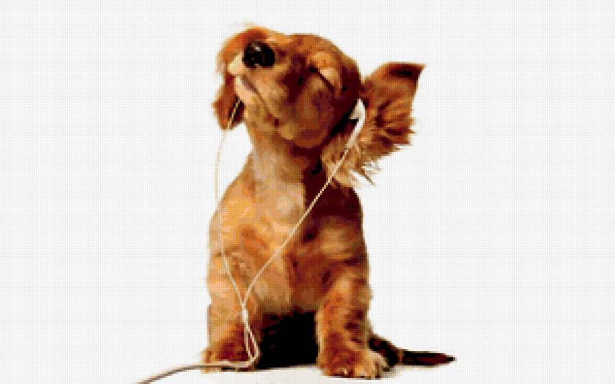 модная собачка - щенок, собака - предпросмотр