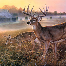 Схема вышивки «№311494»