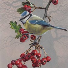 Схема вышивки «№311520»