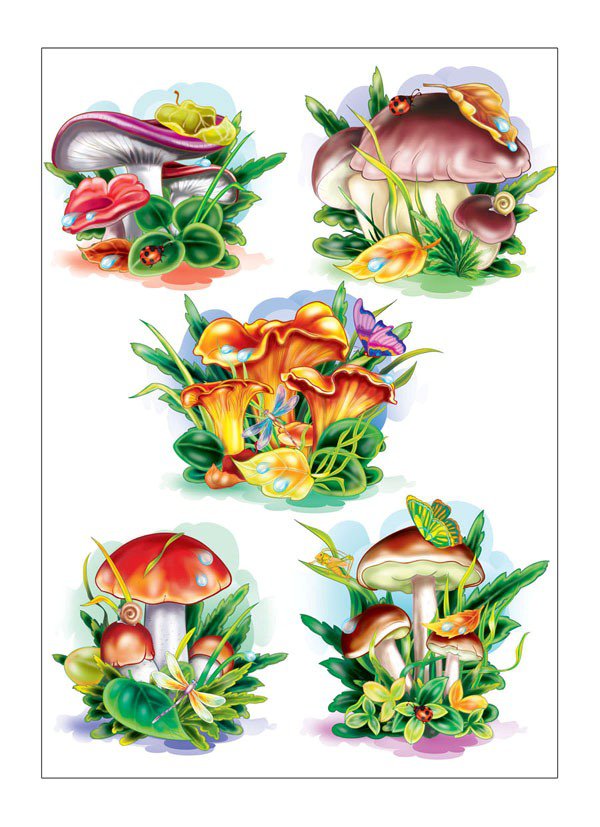 №311577 - оригинал