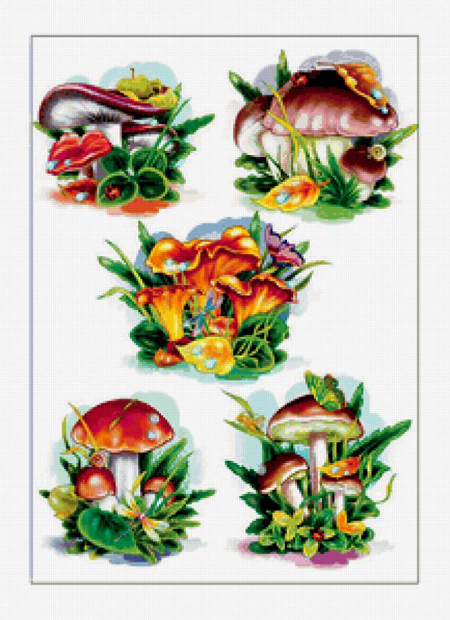 №311577 - предпросмотр