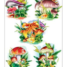 Схема вышивки «№311577»