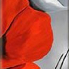 Схема вышивки «dsfhuyfguj»