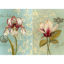 Схема вышивки «№311752»