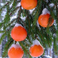 Схема вышивки «№311794»