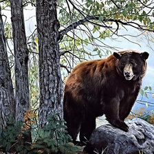 Схема вышивки «№311821»