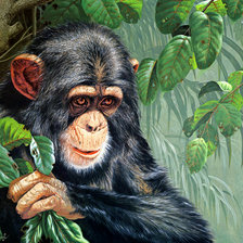 Схема вышивки «№311825»