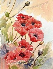 Схема вышивки «маки»