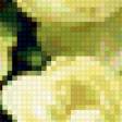 Предпросмотр схемы вышивки «беленькие цветочки» (№311913)